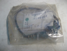 Chevy - Oxygen Sensor - 12599866